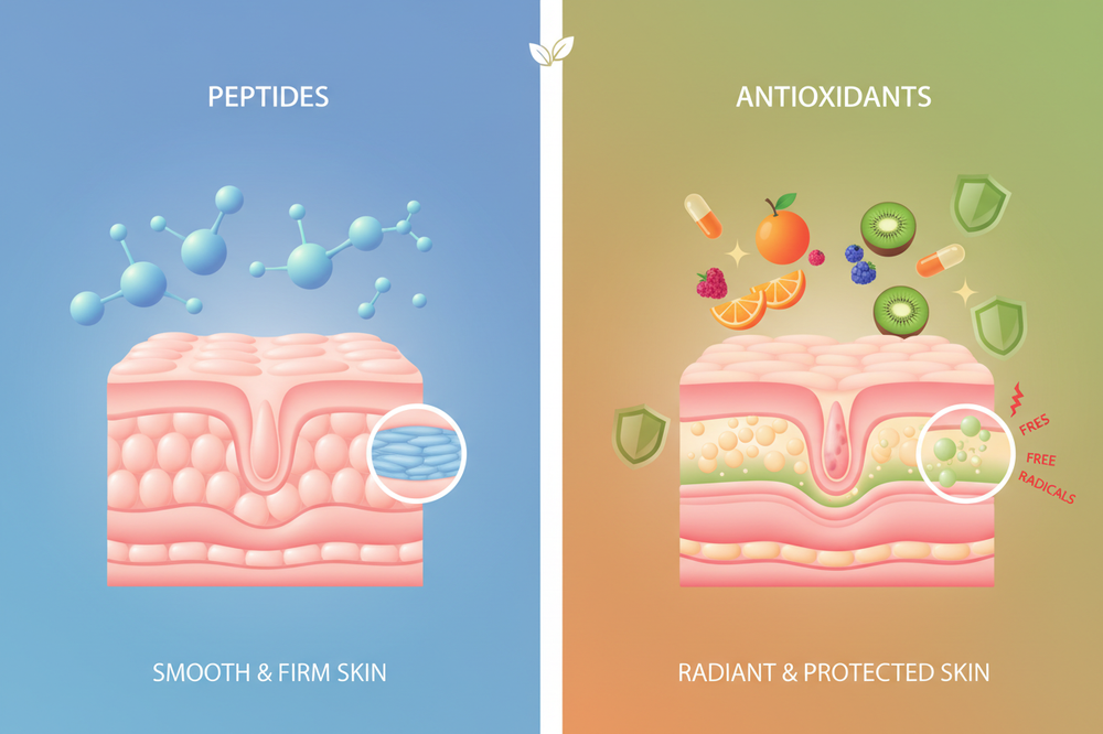 Peptides vs Antioxidants
